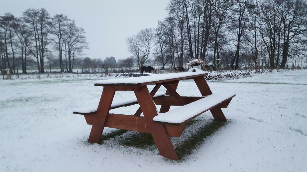 Вілла Emsduene Oberlangen Екстер'єр фото